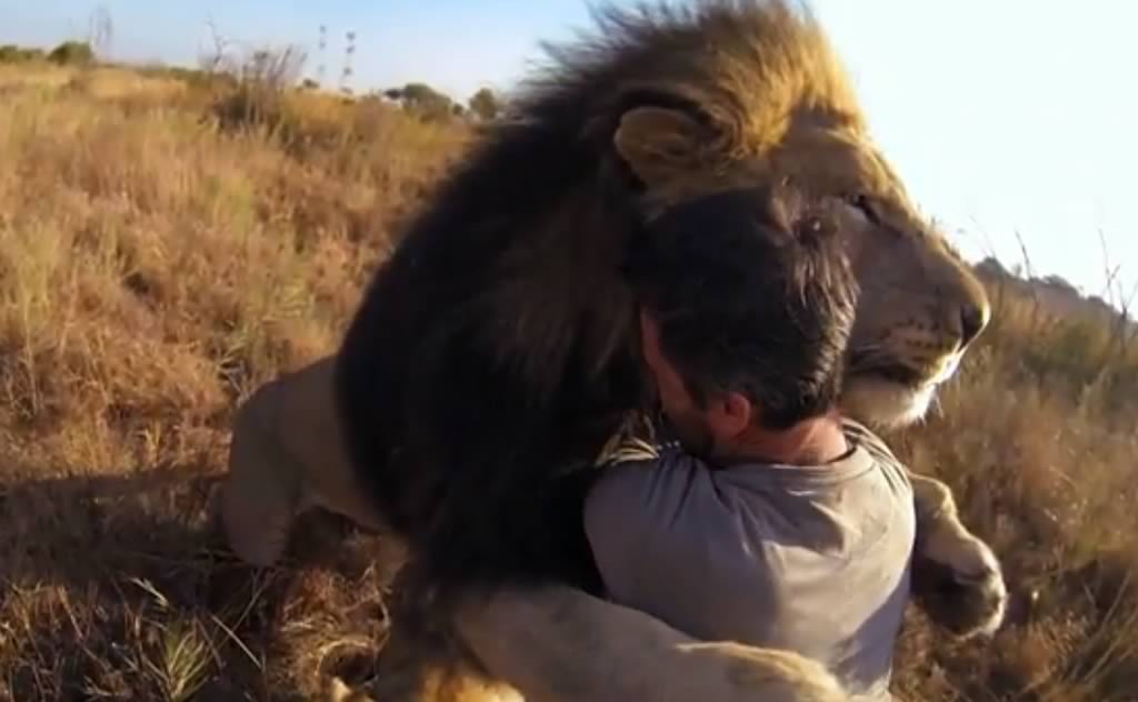 The Lion Whisperer